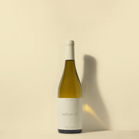 Chardonnay